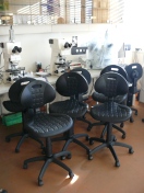 LSPU N Laboratory chairs Novartis